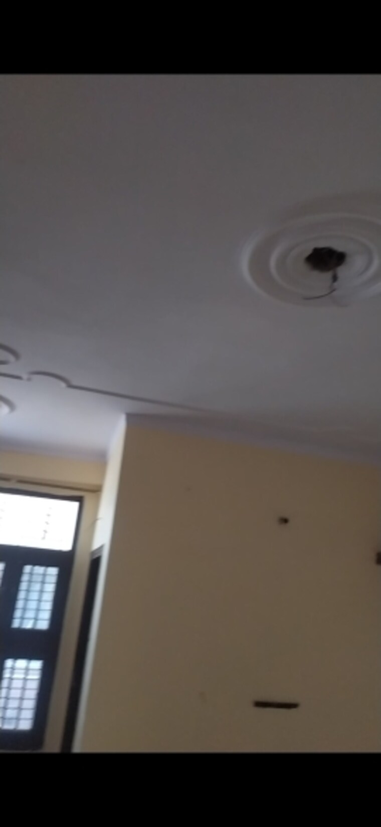 undefined, svp-krishan-vihar 2 Bedroom 800 Sq.Ft. Apartment In Pratap Vihar Ghaziabad 8701534