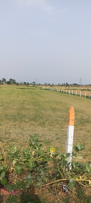 Plot Area in  Land at Dhatir – for Sale