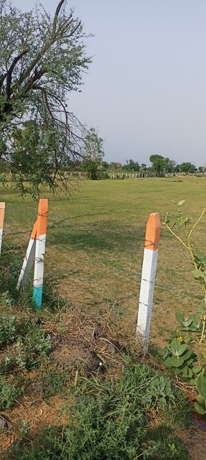 Plot Area in  Land at Dhatir – for Sale