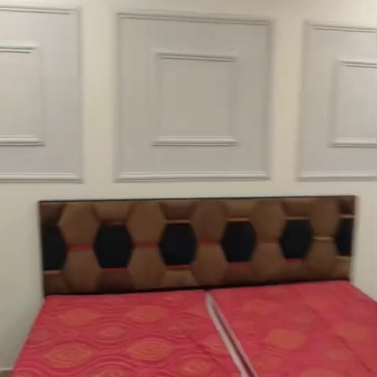 Bedroom, lajpat nagar ii 1 Bedroom 450 Sq.Ft. Builder Floor In Lajpat Nagar ii Delhi 8701968