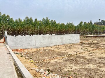 Plot Area in  Plot at Aamwala – for Sale