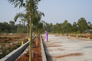 Plot Area in  Plot at Kothavalasa – for Sale