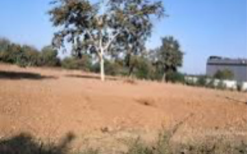 Plot For Sale in South Bopal