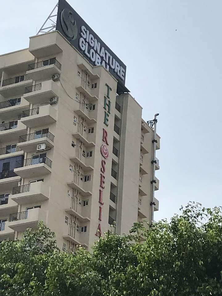 2 BHK + Pooja Room Apartment For Rent in Signature Global The Roselia