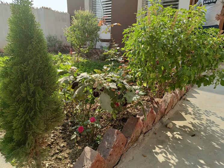 Exterior View, prime-city-greater-noida 2 Bedroom 1200 Sq.Ft. Independent House In Sector 3 Greater Noida Greater Noida 8702540