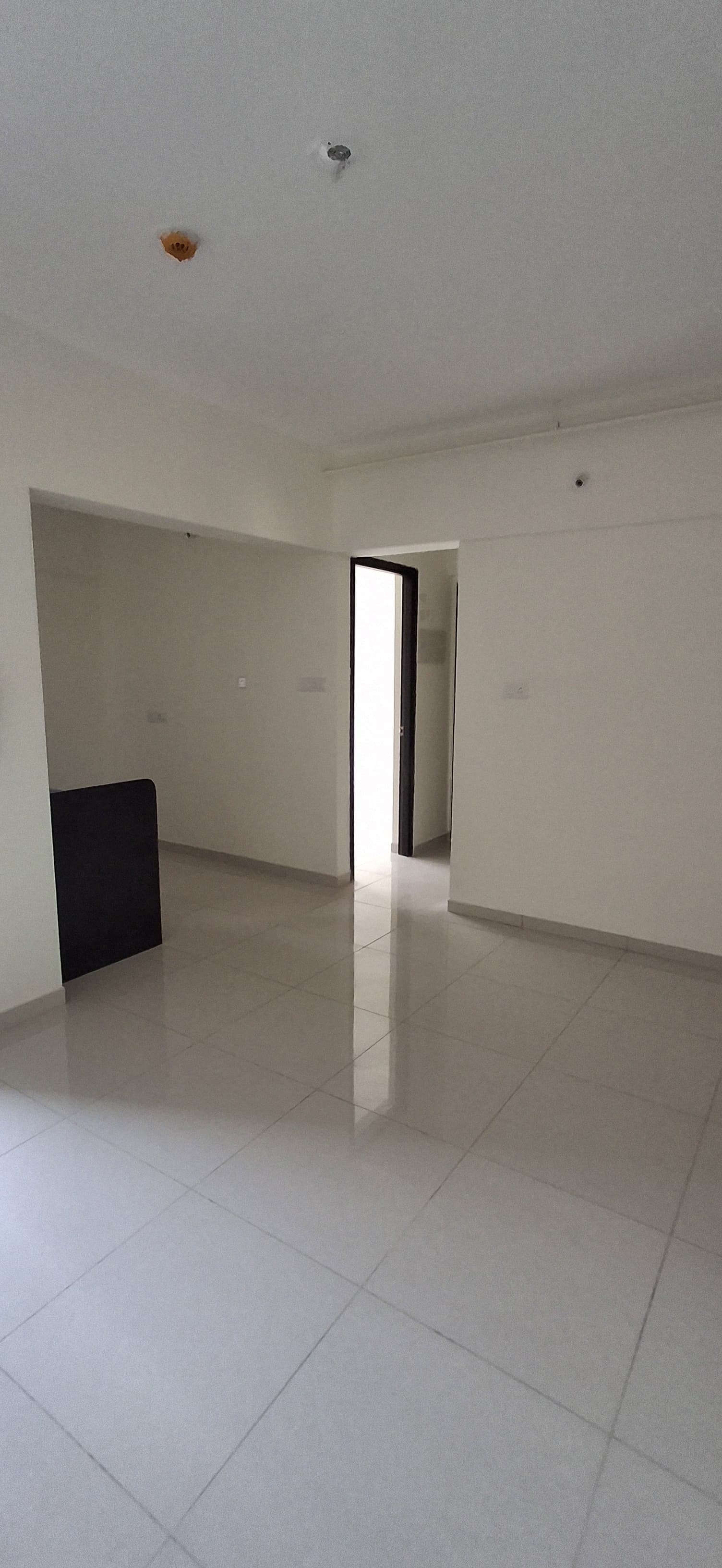 1 BHK Apartment For Rent in Kolte Patil R10