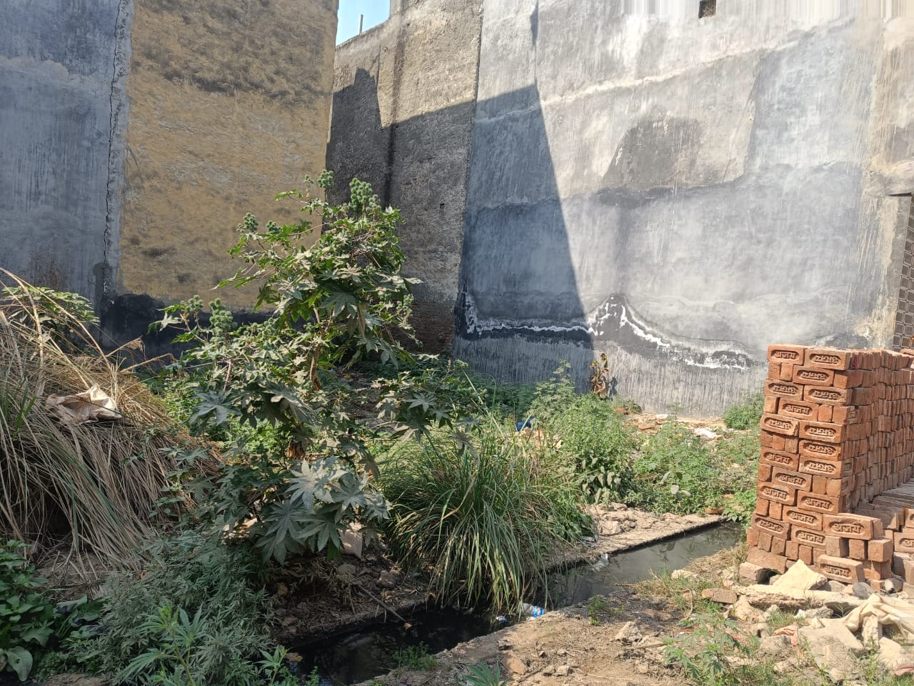 Plot For Sale in Sector 50