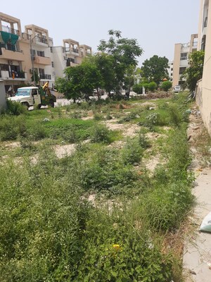  Plot – Exterior View View at BPTP Park Elite Floors, Sector 85 - for Sale