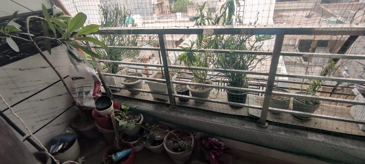 Balcony, dwarka mor 2.5 Bedroom 990 Sq.Ft. Builder Floor In Dwarka Mor Delhi 8702802