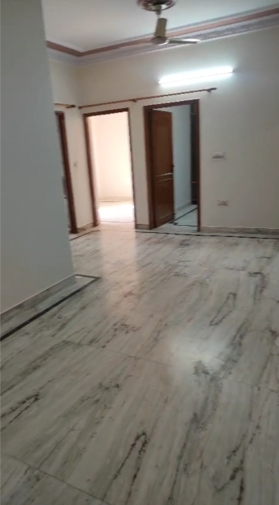 3 BHK Builder Floor For Rent in Builder Floor 