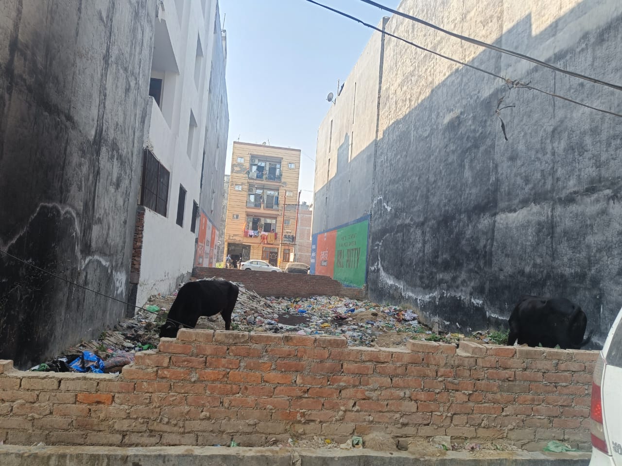 Plot For Sale in Sector 63 A