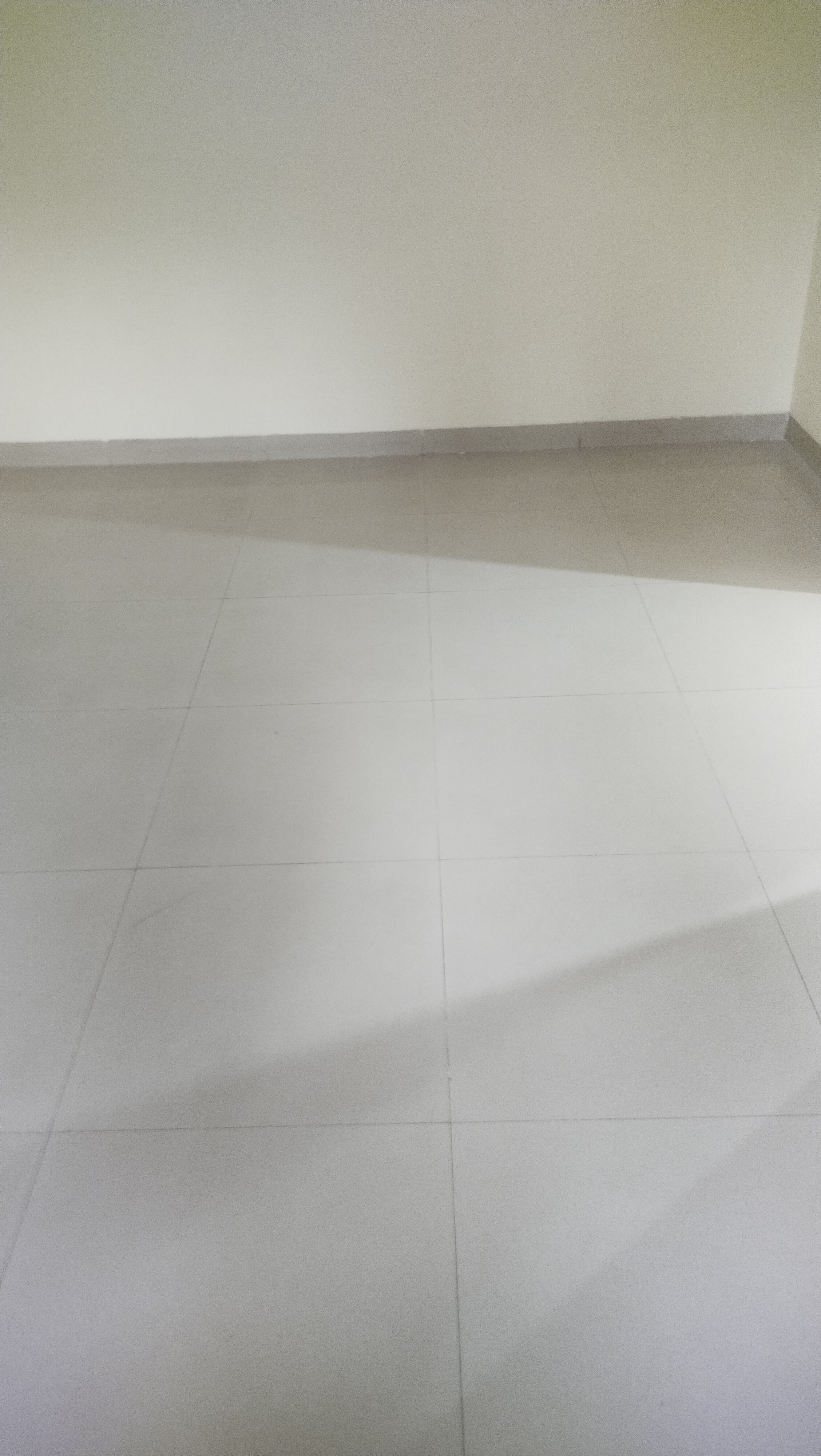 2 BHK + Extra Room Apartment For Sale in Concrete Sai Swar