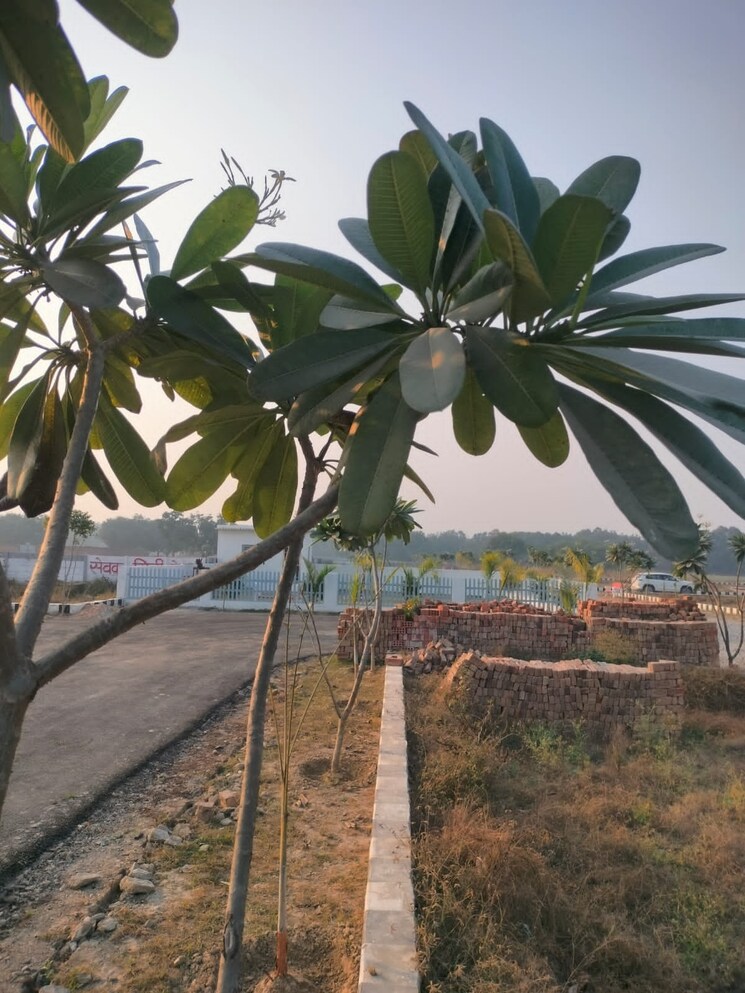 Garden, krishna-iscon-valley  1180 Sq.Ft. Plot In Gosainganj Lucknow 8703722