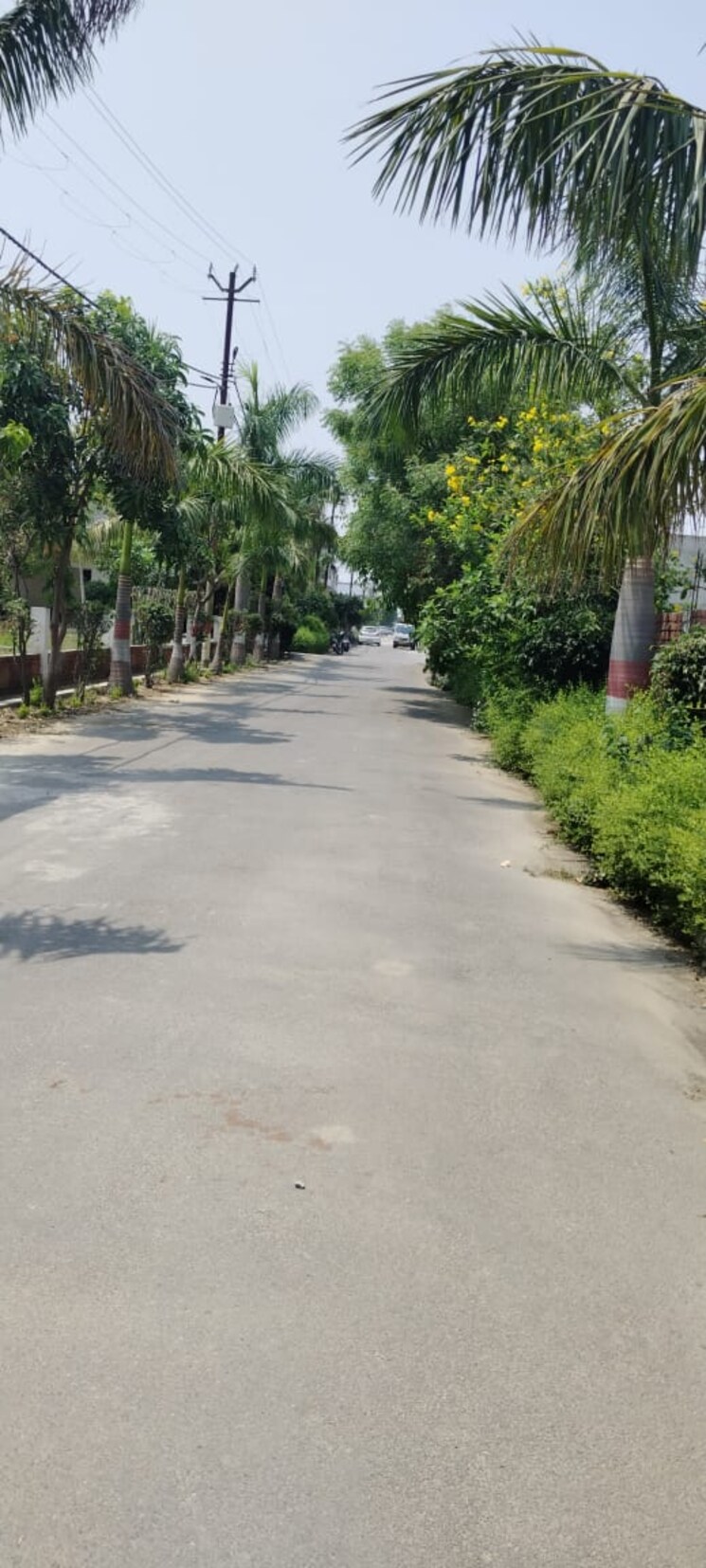 Exterior View, salahpur  106 Sq.Yd. Plot In Salahpur Meerut 8704145