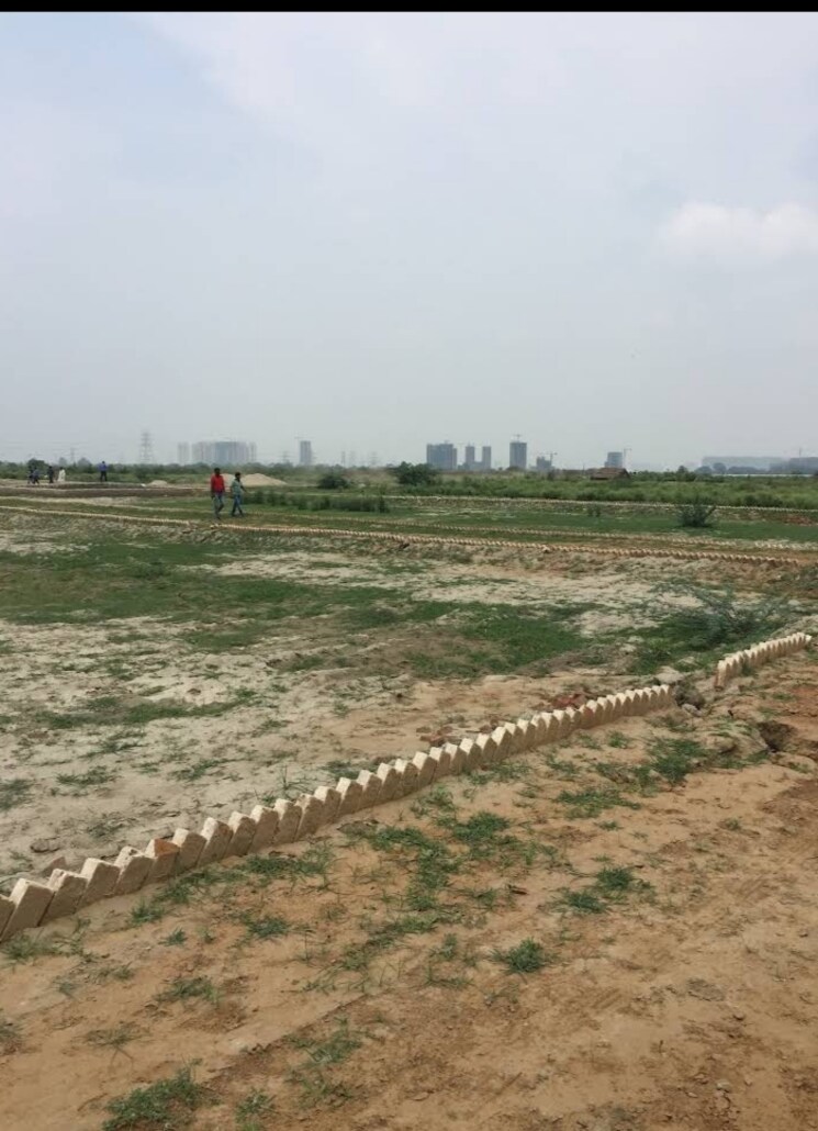 undefined, sector 150  120 Sq.Yd. Plot In Sector 150 Noida 8704164