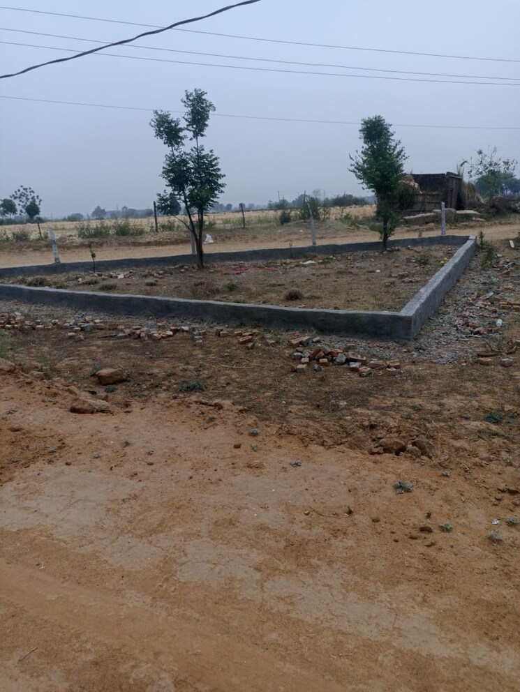 undefined, sector 150  120 Sq.Yd. Plot In Sector 150 Noida 8704164