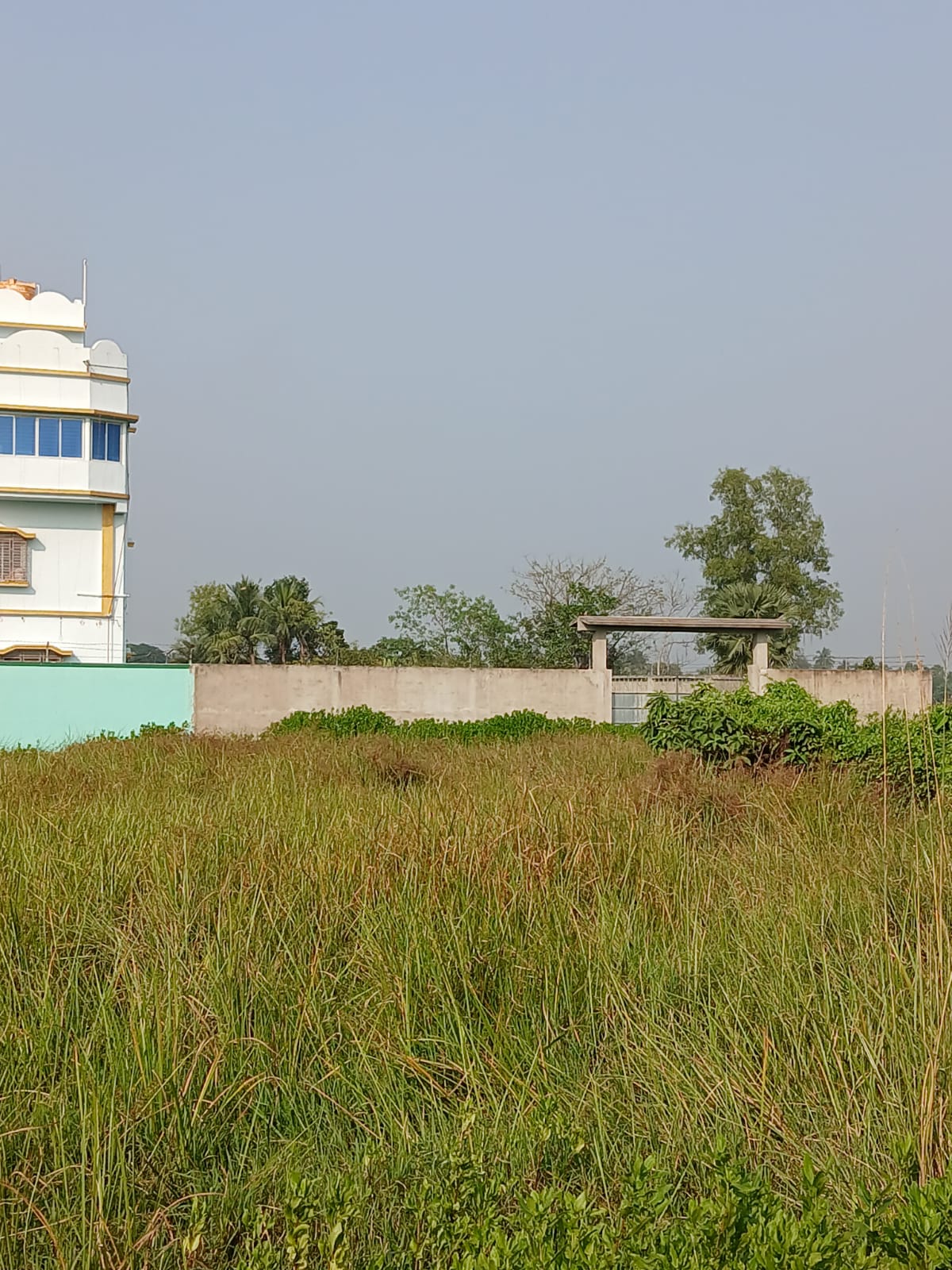 Plot For Sale in Pailan