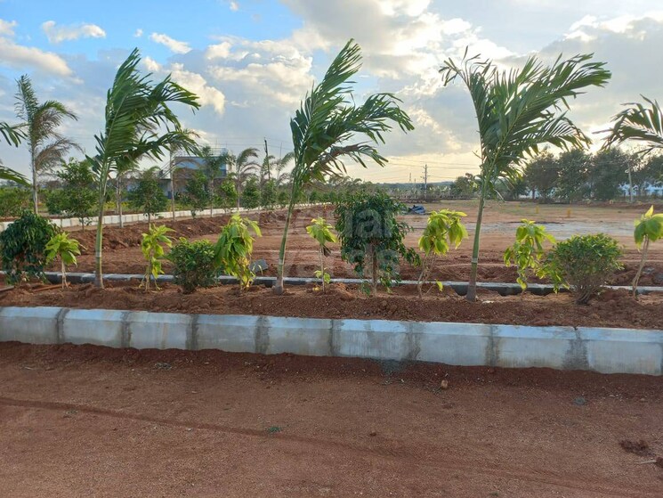 Exterior View, jsr-zircon  200 Sq.Yd. Plot In Burgula Village Hyderabad 8704398