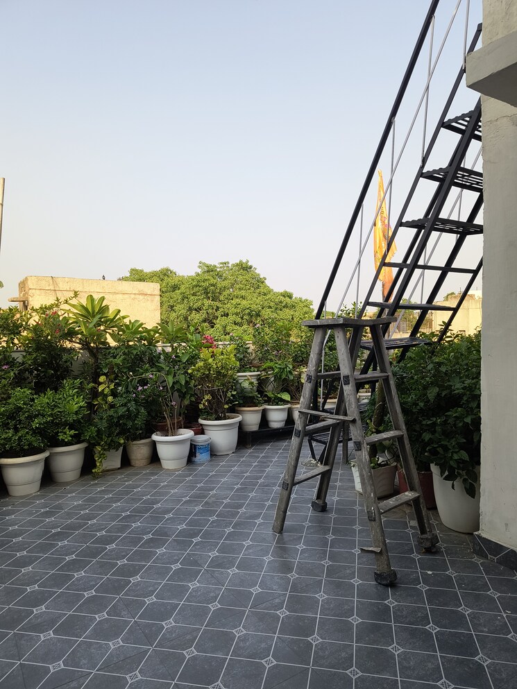 Exterior View, sarita vihar 1 Bedroom 450 Sq.Ft. Apartment In Sarita Vihar Delhi 8704711