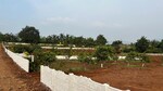 3220 Sq.Ft. Plot in Marunji