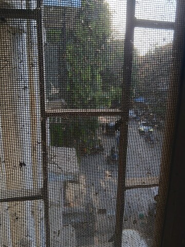 Balcony in 1 BHK Apartment at Hanuman Road – for Sale