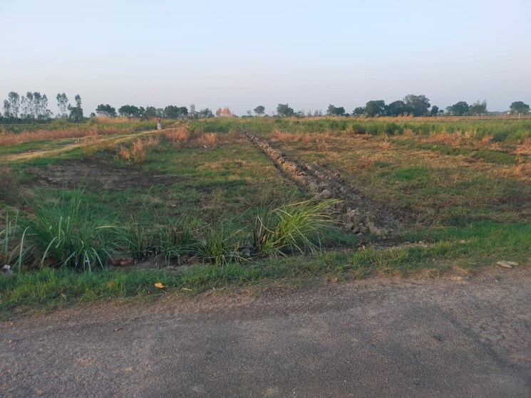 undefined, bhopani  102 Sq.Yd. Plot In Bhopani Faridabad 8705409