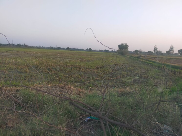 undefined, bhopani  102 Sq.Yd. Plot In Bhopani Faridabad 8705409