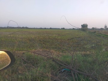 Plot Area in  Plot at Bhopani – for Sale