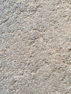 3 BHK + Pooja Room Apartment For Sale in Chilcon Mayan