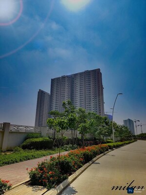 3 BHK Apartment For Sale in Avalon Park At The Prestige City, Sarjapur Road