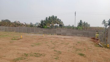  Land For Sale in Babatpur