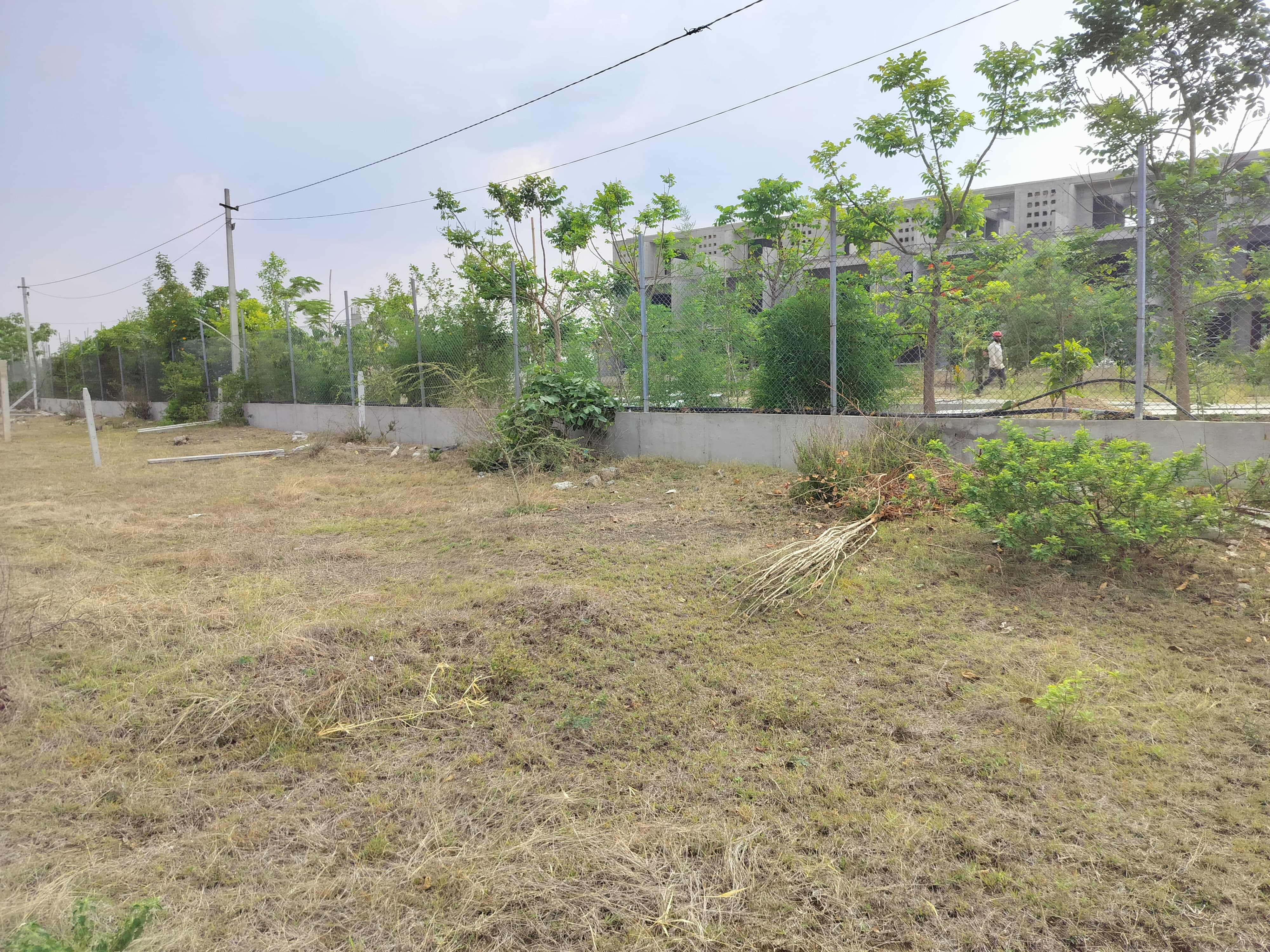 Plot For Sale in Dream Township