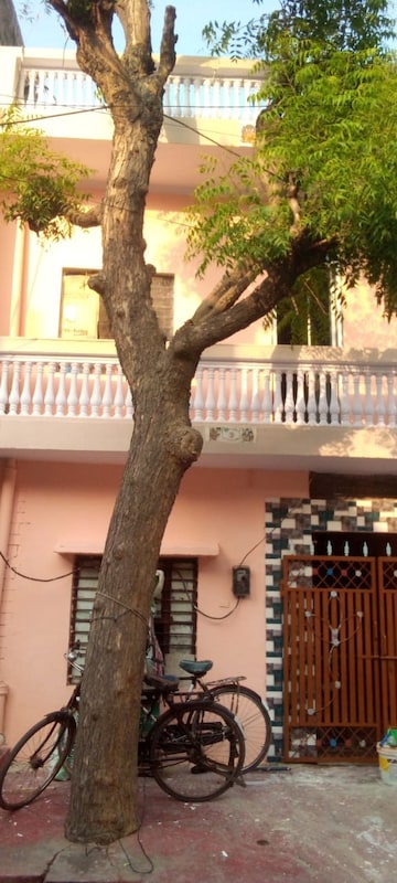 5 BHK Independent House For Sale in Sector 8