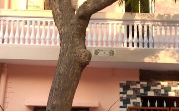 5 BHK Independent House For Sale in Sector 8