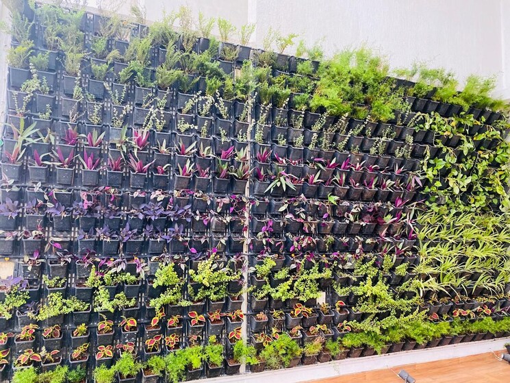 Garden, kolte-patil-24k-sereno 2 Bedroom 729 Sq.Ft. Apartment In Baner Pune 8707577