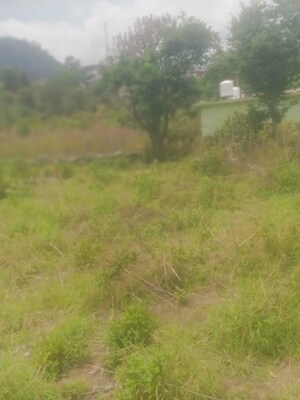  Land – Garden View at Bhimtal - for Sale