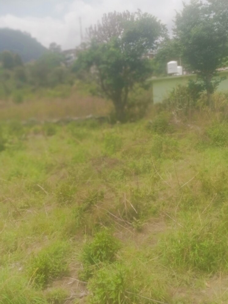 Garden, bhimtal Commercial Land 2160 Sq.Ft. In Bhimtal Nainital 8707706