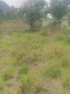  Land – Garden View at Bhimtal - for Sale