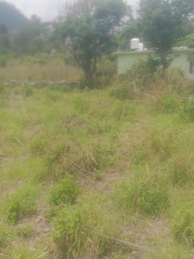 Garden, bhimtal Commercial Land 2160 Sq.Ft. In Bhimtal Nainital 8707706