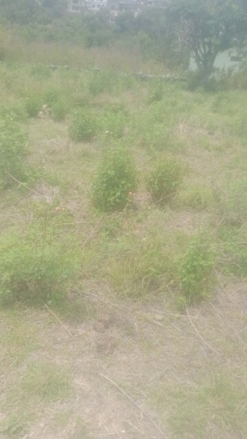  Land – Garden View at Bhimtal - for Sale