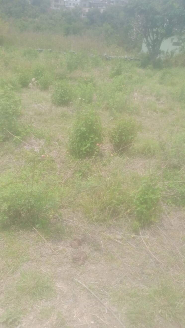 Garden, bhimtal Commercial Land 2160 Sq.Ft. In Bhimtal Nainital 8707706