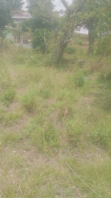  Land – Garden View at Bhimtal - for Sale