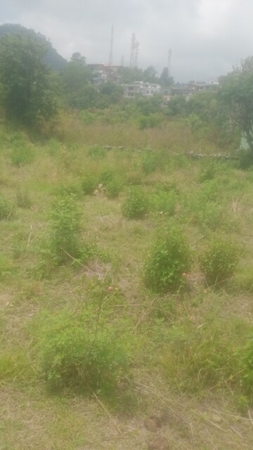  Land – Garden View at Bhimtal - for Sale