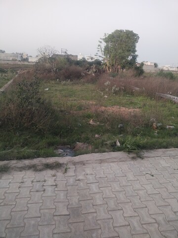  Plot For Sale in Shiv Colony