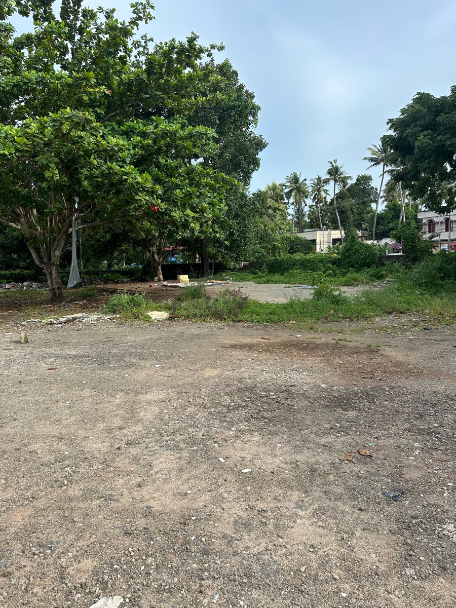 Land For Sale in Iconic Facilix