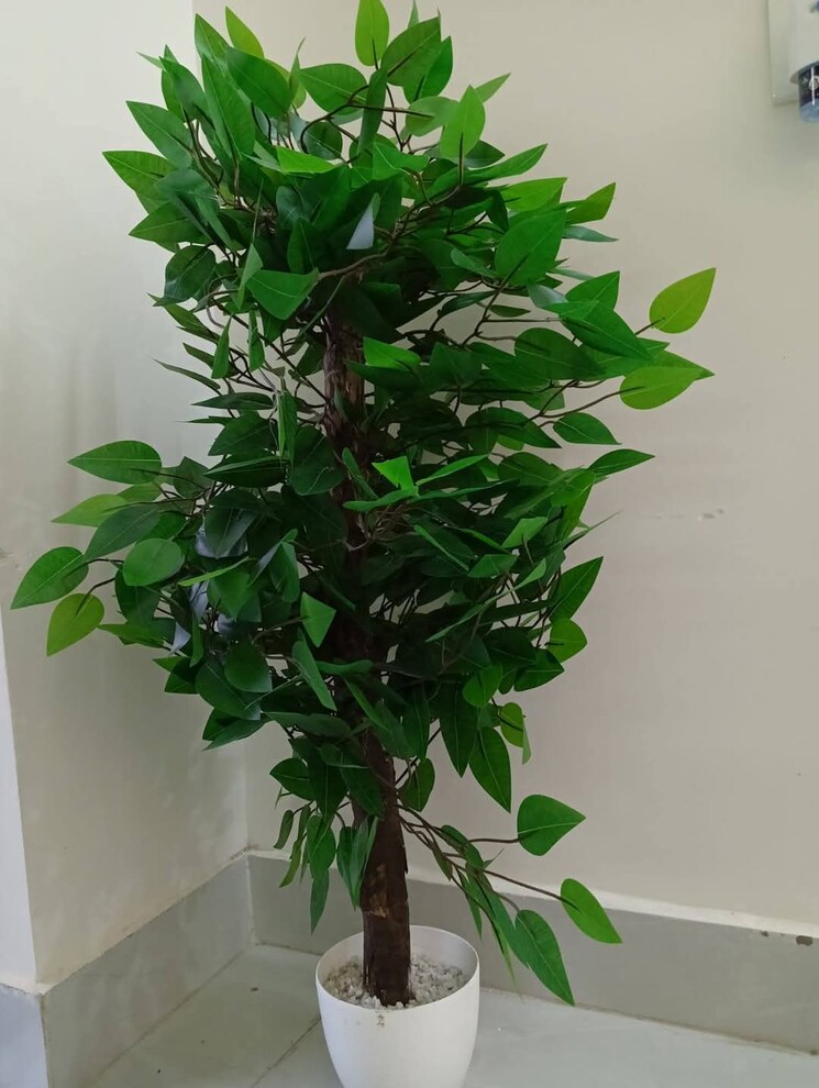 undefined, sector 55 2.5 Bedroom 1210 Sq.Ft. Independent House In Sector 55 Noida 8708096