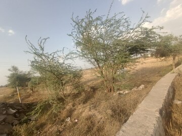 Plot Area in  Land at Ghilot – for Sale