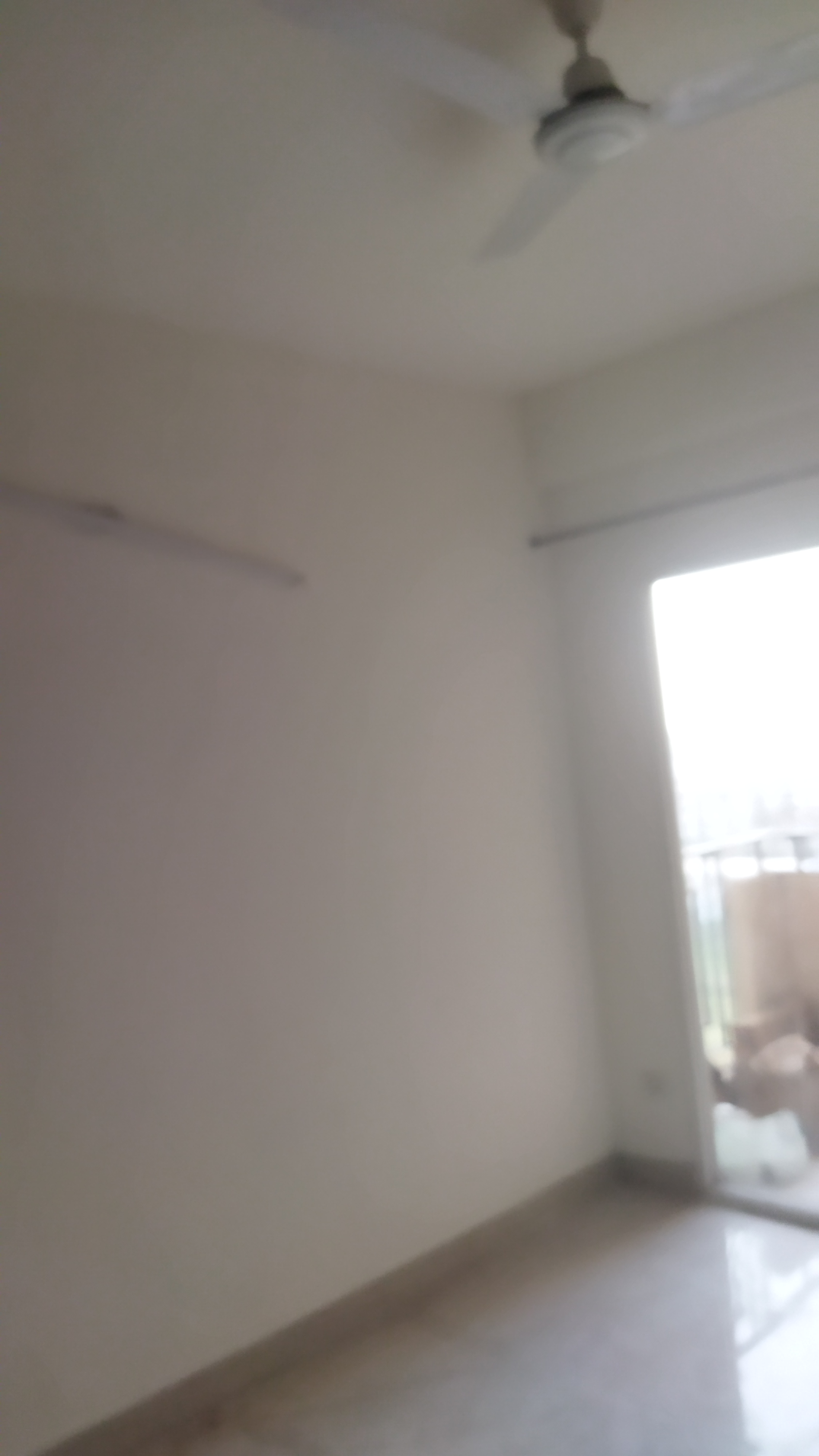 2 BHK 650 Sq.Ft. Apartment in Signature Global Orchard Avenue