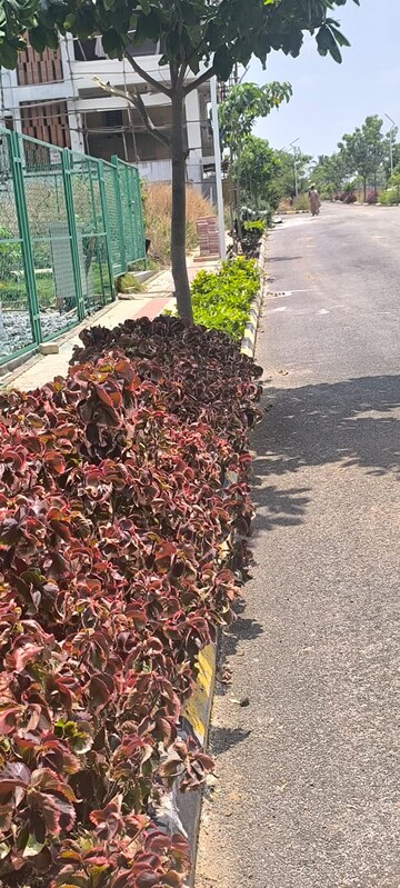  Plot – Exterior View View at Koppa Gate - for Sale