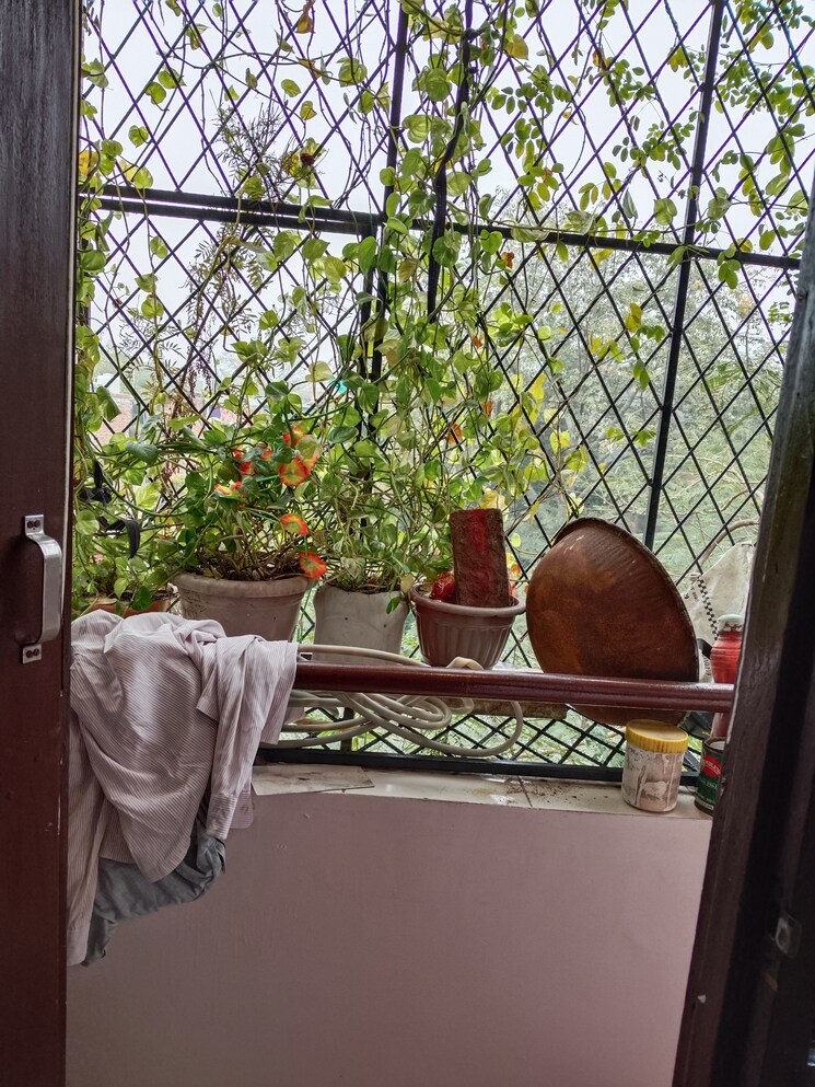 undefined, panchsheel vihar 2 Bedroom 800 Sq.Ft. Apartment In Panchsheel Vihar Delhi 8709004